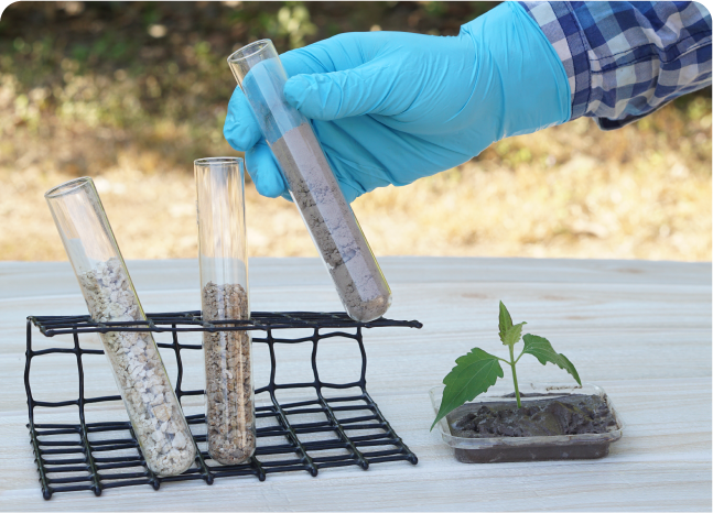 Etude environnementale